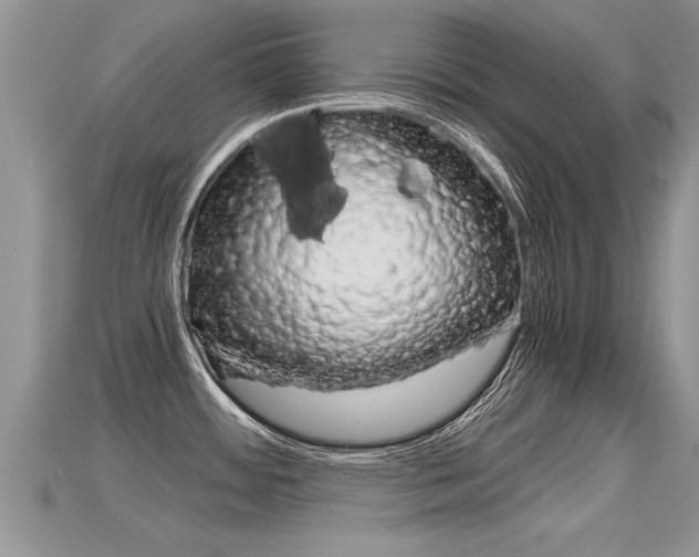 X0000115681484200911120937