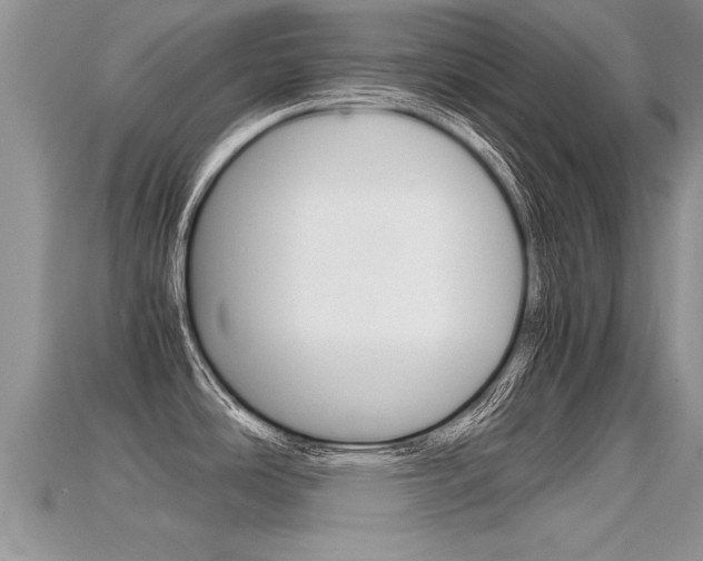 X0000115681486200911120937
