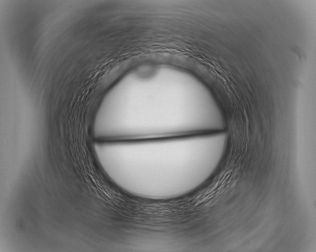 X0000115681489200911120936
