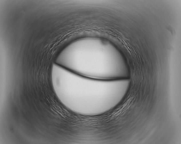X0000115681490200911120936