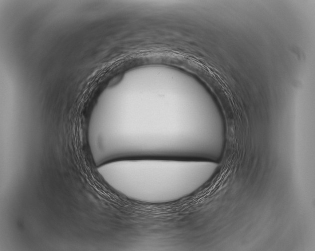 X0000115681493200911120936
