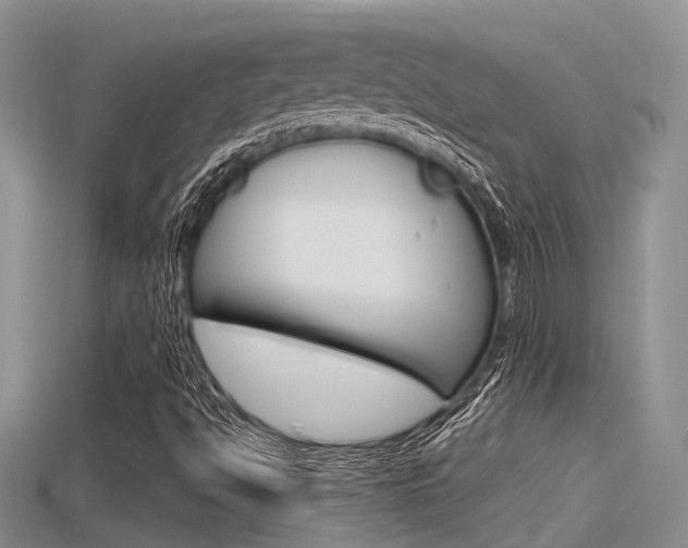 X0000115681494200911120936