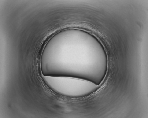 X0000115681497200911120936