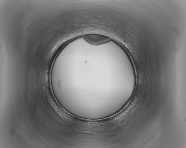 X0000115681499200911120936