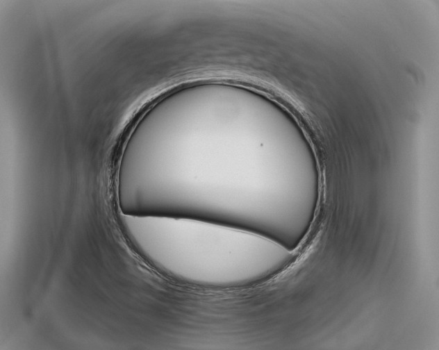 X0000115681501200911120936