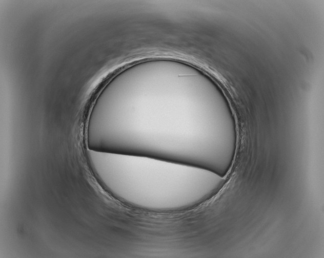 X0000115681503200911120936