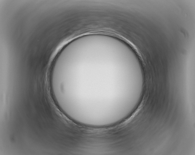 X0000115681506200911120936