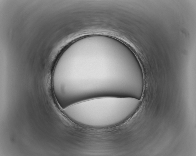 X0000115681507200911120936