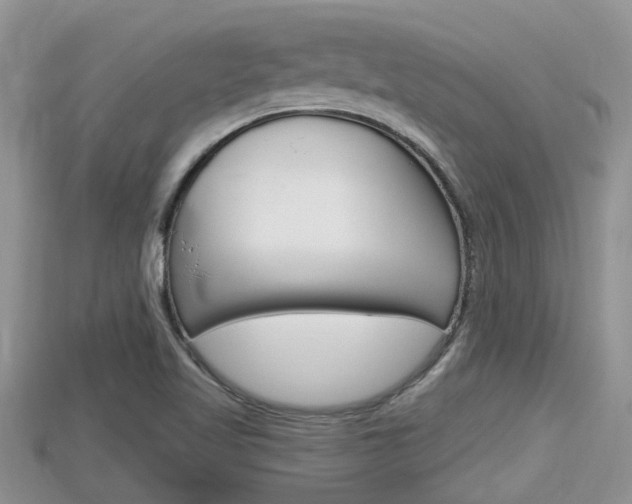 X0000115681509200911120936