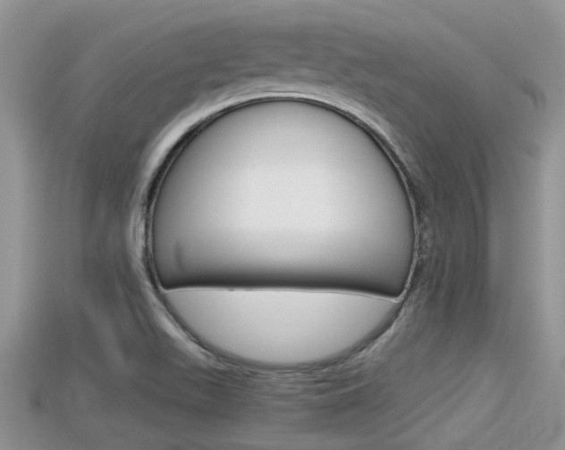X0000115681511200911120936