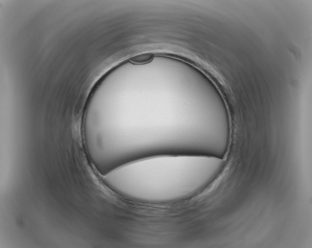 X0000115681513200911120936