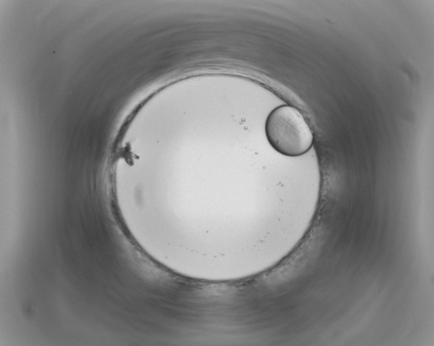 X0000115681514200911120936