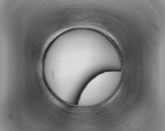 X0000115681517200911120936