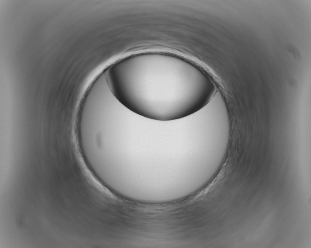 X0000115681518200911120936