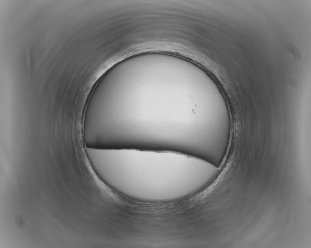 X0000115681521200911120936