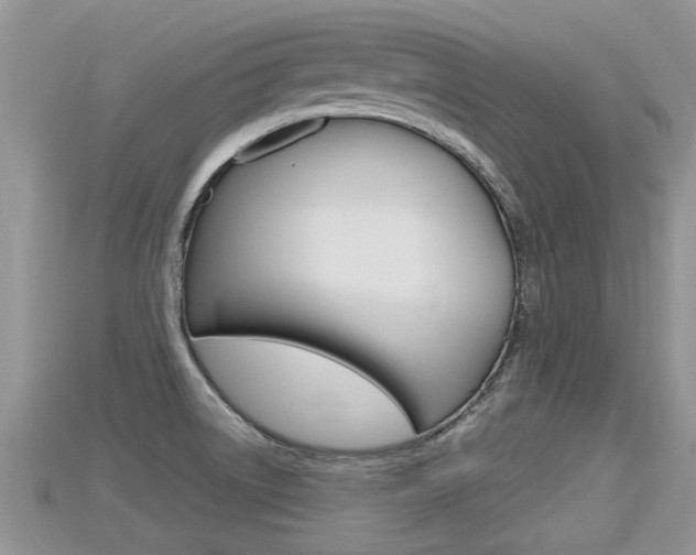 X0000115681522200911120936