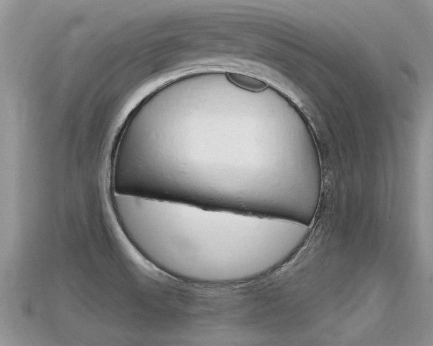 X0000115681523200911120936