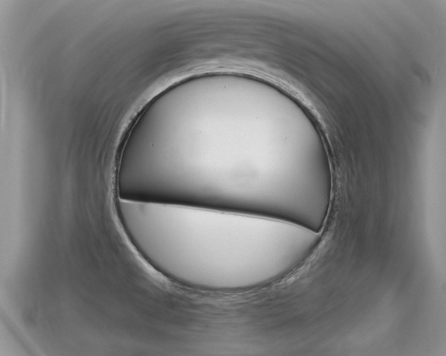 X0000115681525200911120936