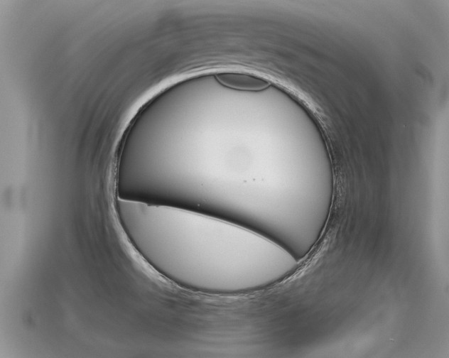 X0000115681526200911120936