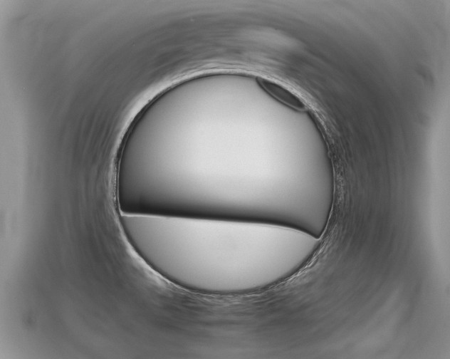 X0000115681527200911120936