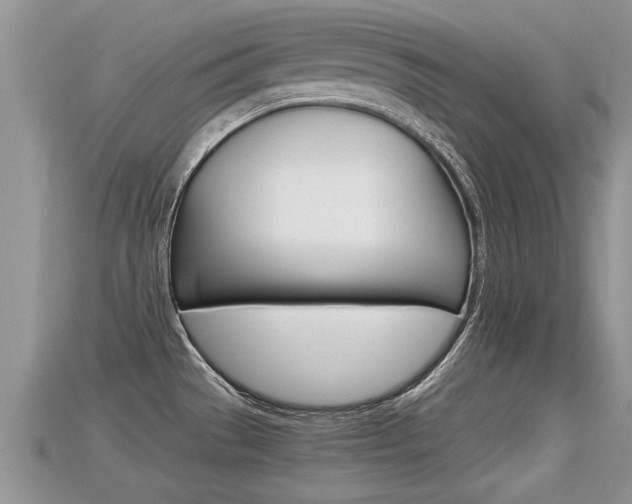 X0000115681529200911120936