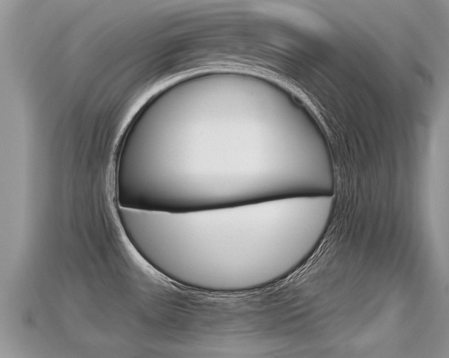 X0000115681531200911120937