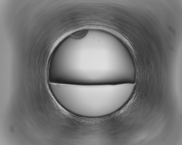 X0000115681533200911120937
