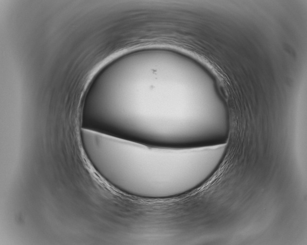 X0000115681534200911120937