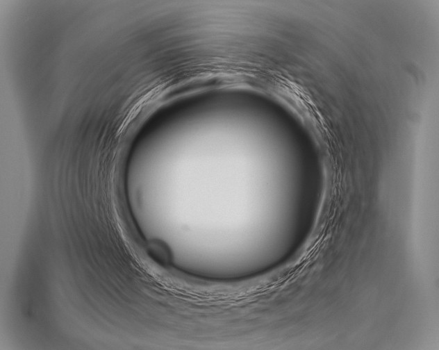 X0000115680001200911121256