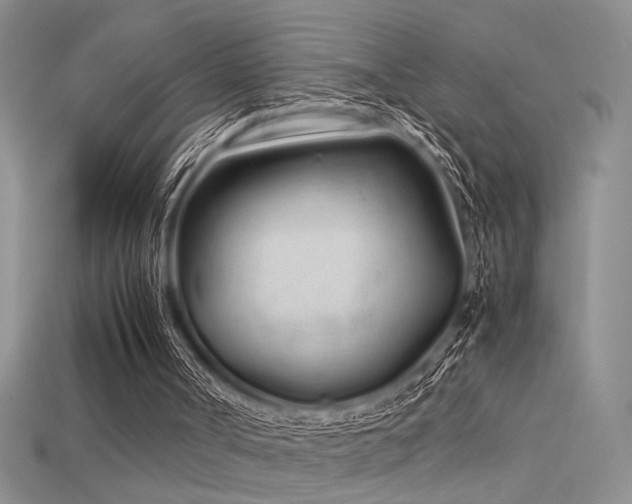 X0000115680002200911121256