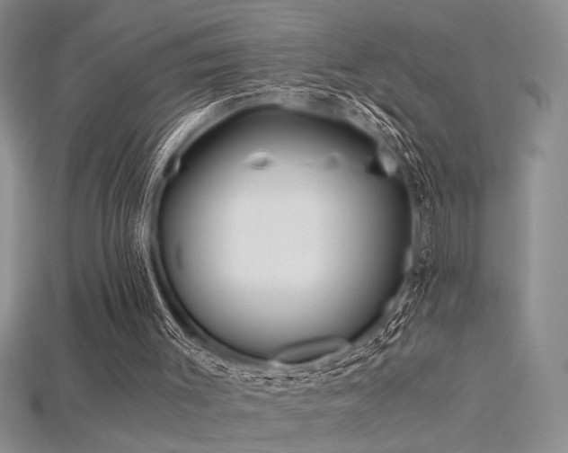 X0000115680003200911121256