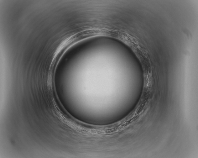 X0000115680004200911121256