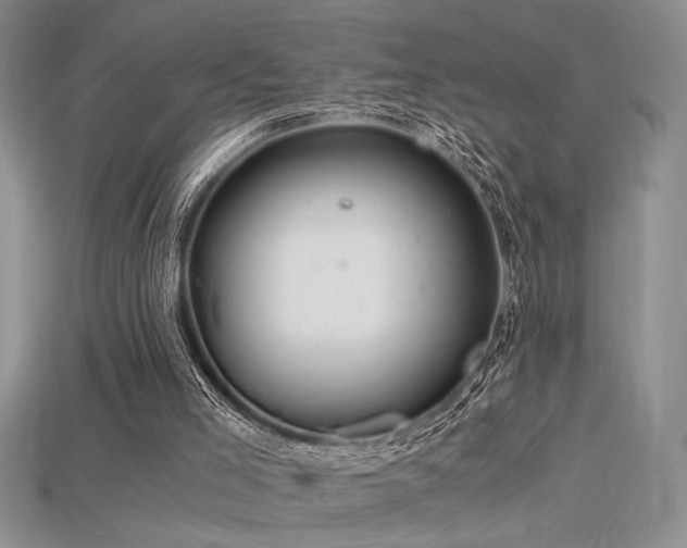 X0000115680005200911121256