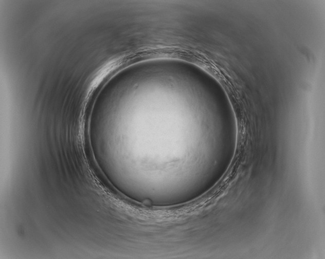 X0000115680006200911121256