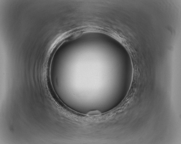 X0000115680007200911121256