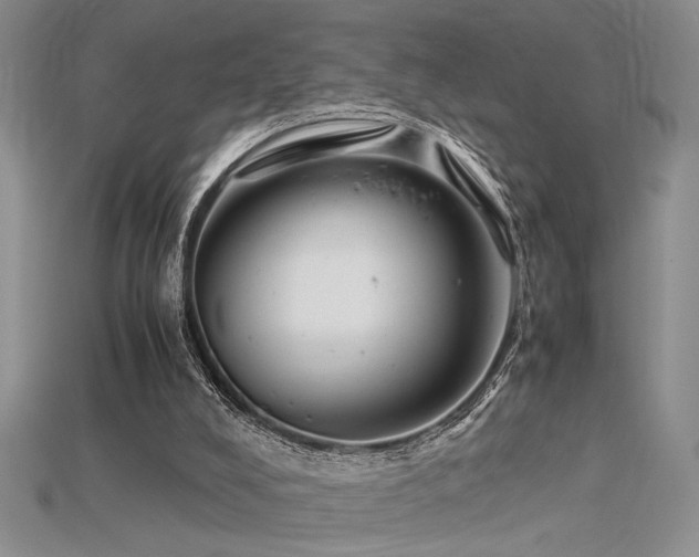 X0000115680008200911121256