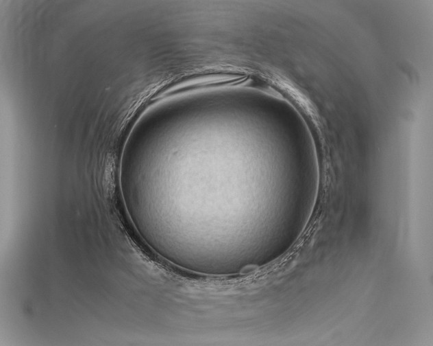 X0000115680009200911121256