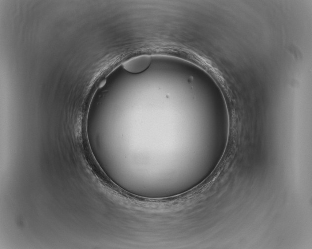 X0000115680010200911121256