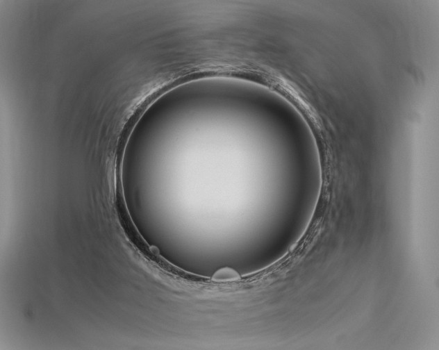 X0000115680011200911121256