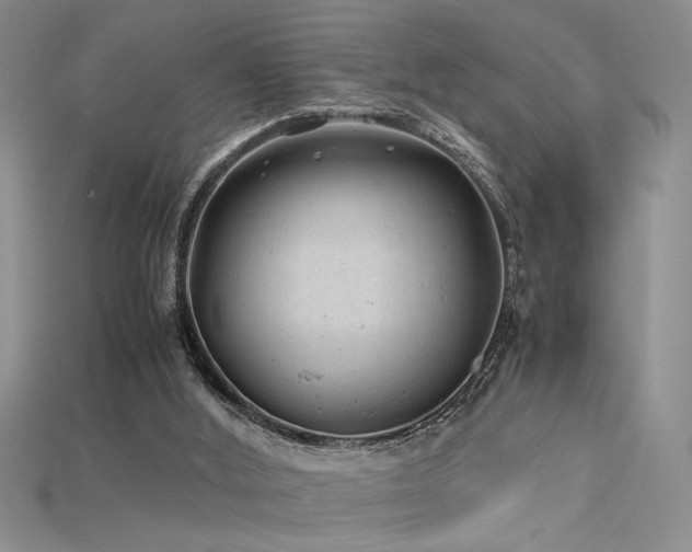 X0000115680012200911121256