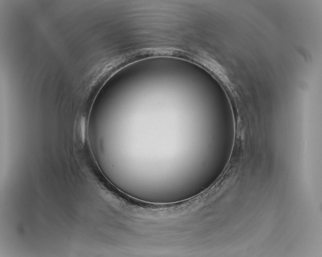 X0000115680013200911121256