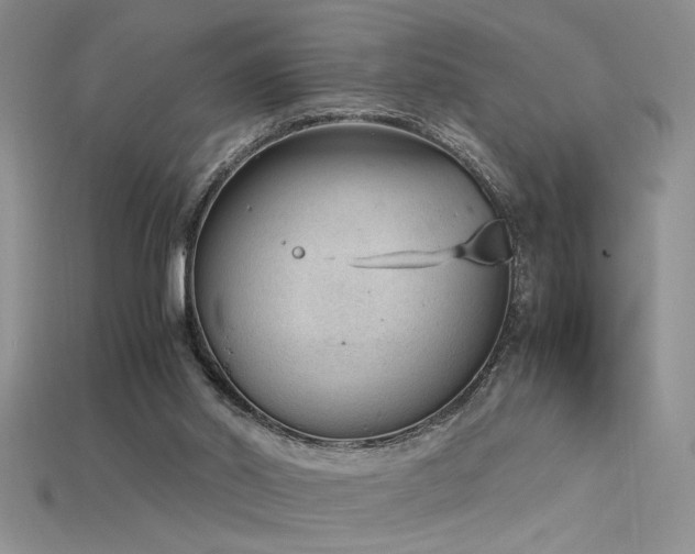 X0000115680014200911121256