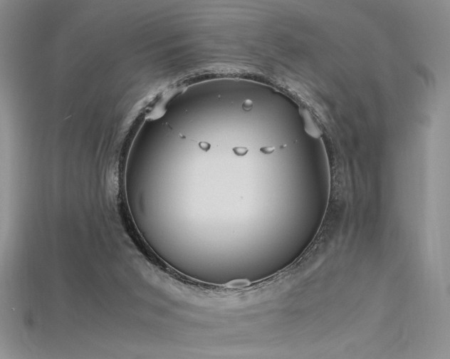 X0000115680015200911121256