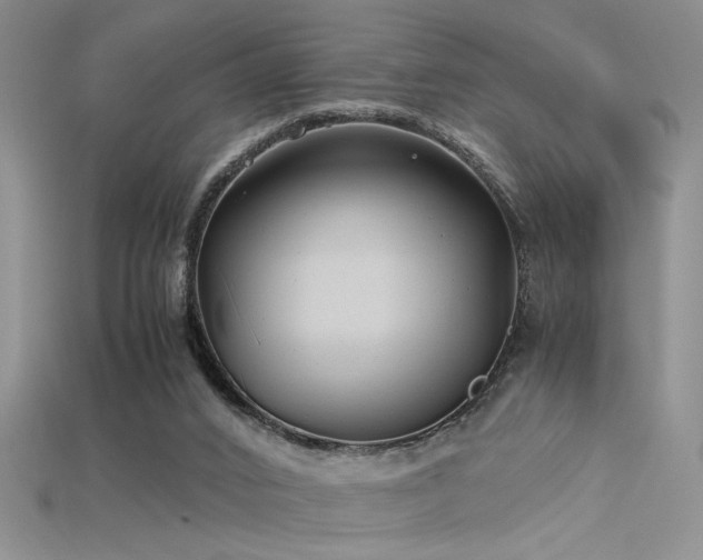 X0000115680016200911121256