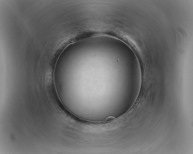 X0000115680017200911121256