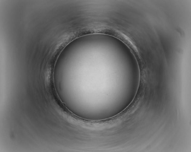 X0000115680018200911121256