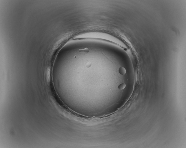 X0000115680019200911121256