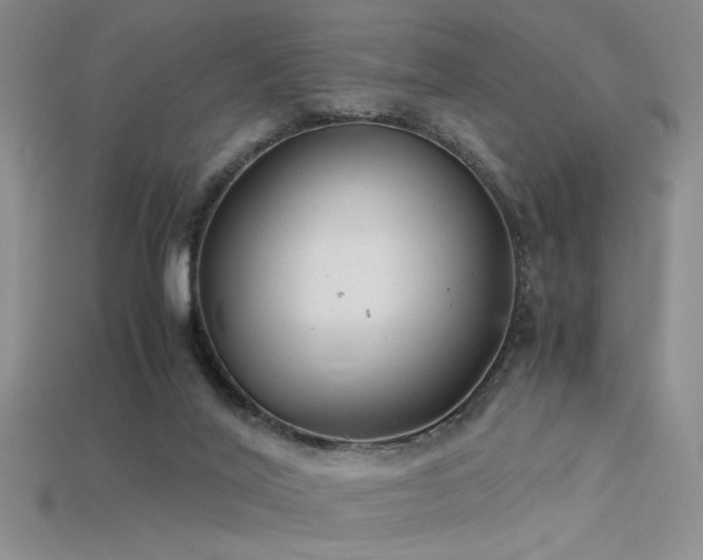 X0000115680020200911121256