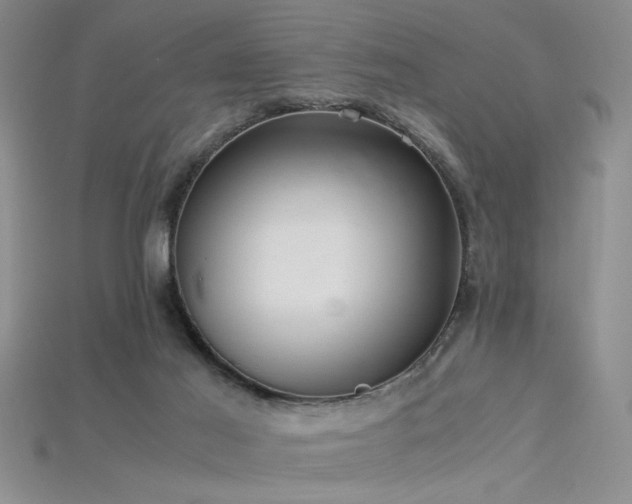 X0000115680021200911121256