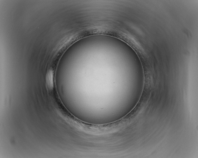 X0000115680022200911121256